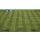 EA Fifa 13 PSP - 1399919 - zdjęcie 2